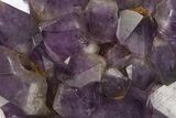 Deep Purple Amethyst Cluster - Congo #332995-3